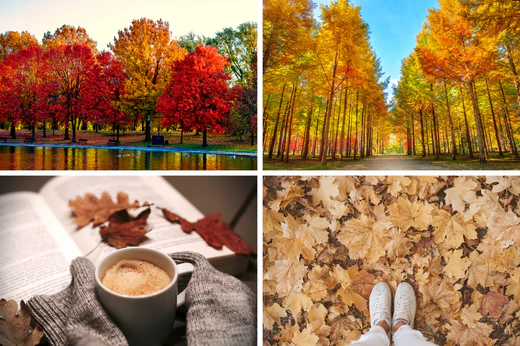 Fall collage of four images representing the fall autumn season