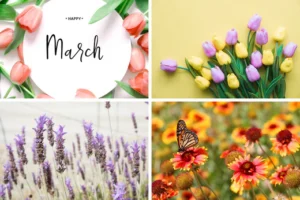 a collage of four images representing the spring month of march