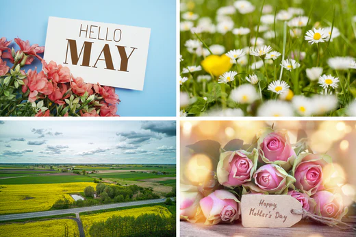 a collage of four spring themed images representing the month of may like a calendar that says may on it and colorful flowers and gardens