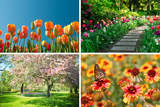 a collage of four spring themed images with gardens and flowers