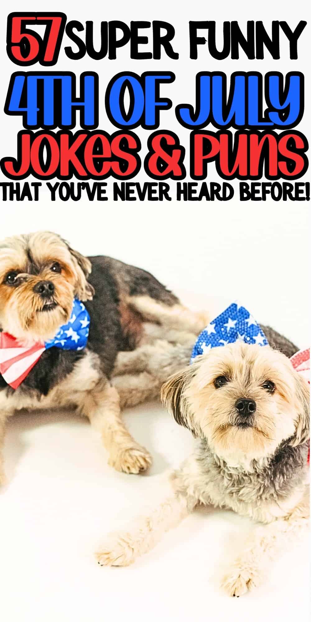 57 Super Funny 4th of July Jokes and Puns That You've Never Heard Before