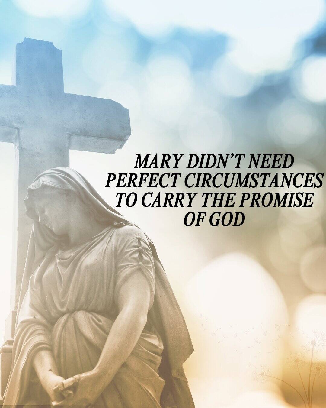 Mary didn’t need perfect circumstances to carry the promise of God