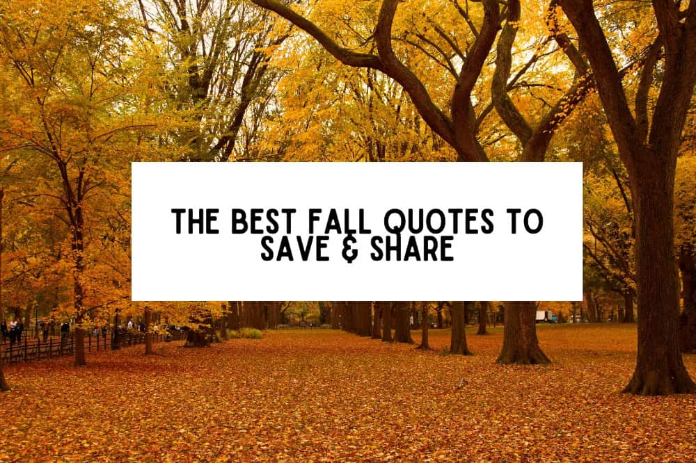 The Best Fall Quotes to Save & Share