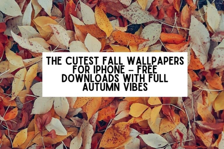 The Cutest Fall Wallpapers for iPhone – Free Downloads with Full Autumn Vibes